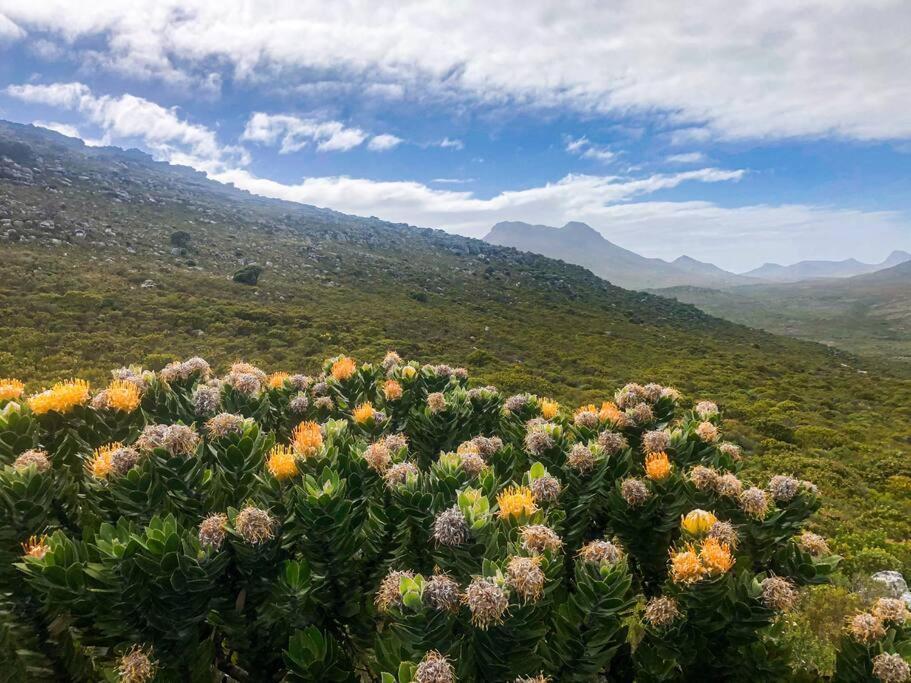 Serene Hide-away With Ocean Views. Holiday home Cape Town